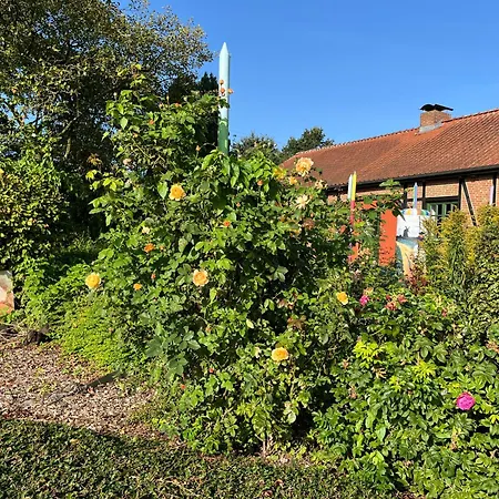 דירה Rosenkate - Komfort Fuer Profis