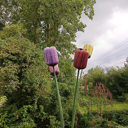 Rosenkate - Komfort Fuer Profis דירה *