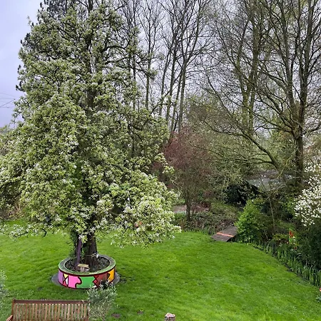 Rosenkate - Komfort Fuer Profis Timmaspe