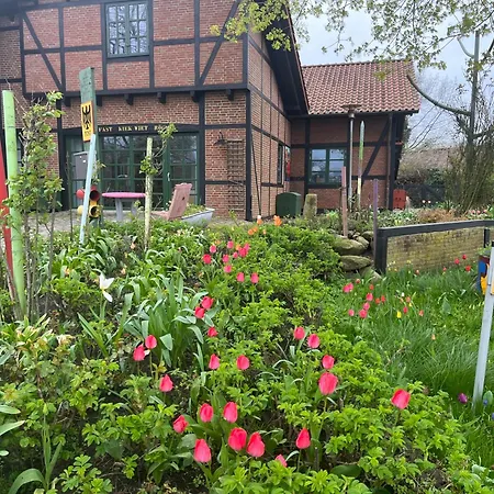 Rosenkate - Komfort Fuer Profis * Timmaspe