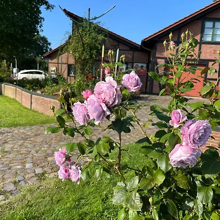 דירה Rosenkate - Komfort Fuer Profis *