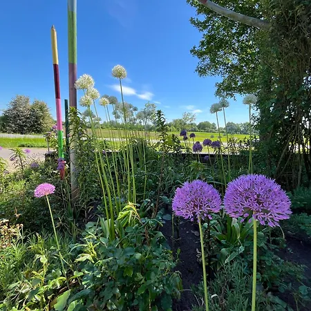 Daire Rosenkate - Komfort Fuer Profis